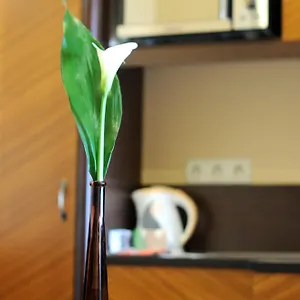 Hotel Residencia Baron, Budapest